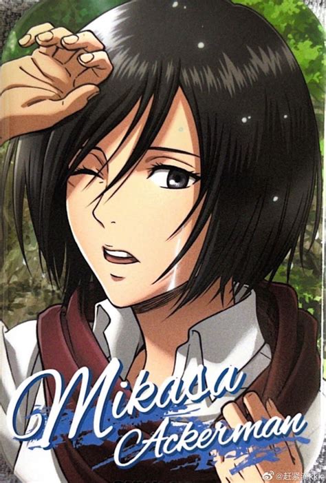 aot mikasa|mikasa official website.